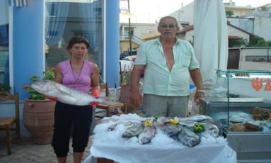 taverna5.jpg